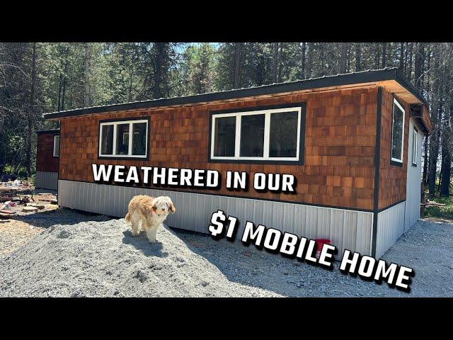 Our $1 Mobile Home is weathered in