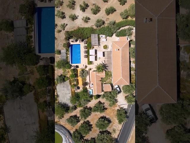 Unique B&B in a unique location: immersed in an Andalusian olive grove!