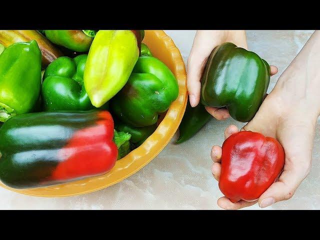 I don’t buy pepper anymore in winter! 5 Super Ways to Store Bell Peppers All Year Round