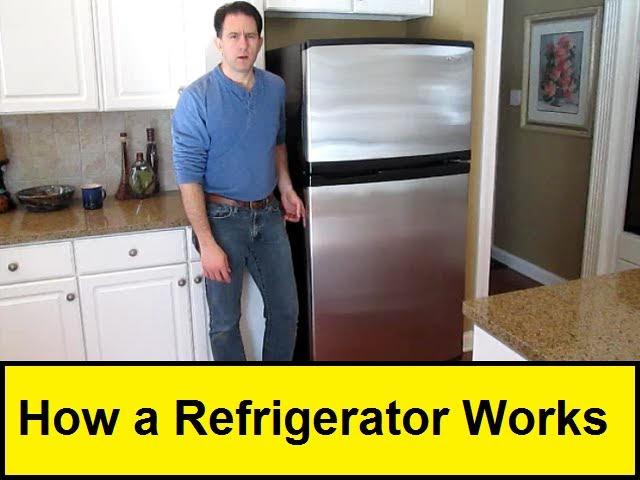 How a Refrigerator Works (HowToLou.com)