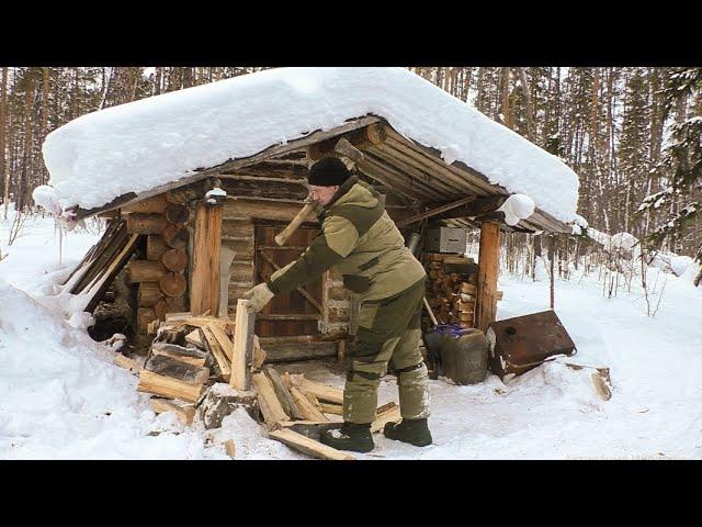 В избушке как на даче. Отпилил денег.