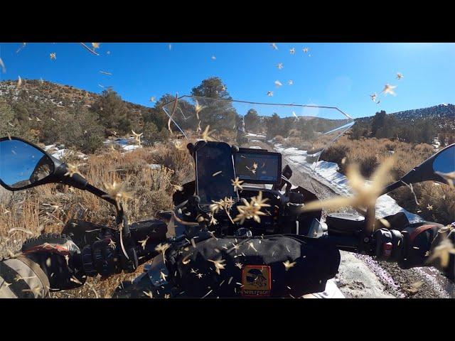 BMW R1250GSA in the snow / The Day we almost Died