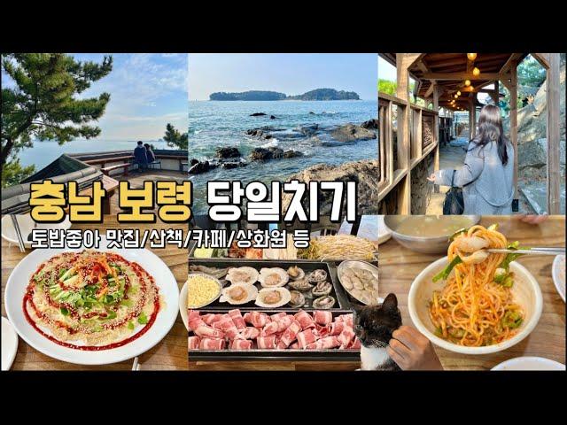 충남 가볼만한곳 : 보령 당일치기 여행 브이로그 (토밥좋아 맛집/카페/닭벼슬섬/상화원)