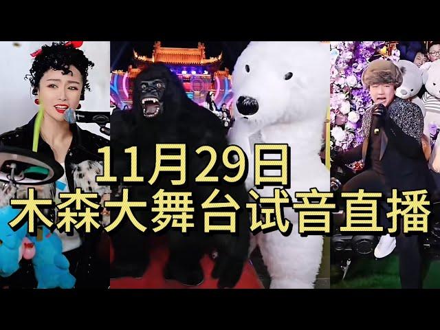 11月29日木森大舞台试音海选直播