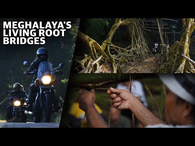 Meghalaya’s Living Root Bridges | UNESCO X Royal Enfield