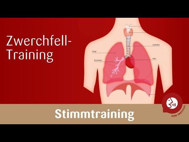 Stimmtraining - Das Zwerchfell trainieren für eine kraftvolle Stimme