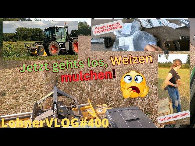 LohnerVLOG#400 Weizen/Blühstreifen mulchen I Fendt Favorit Frontzapfwellefehler I Steine sammeln