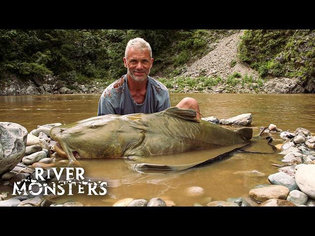 The BIGGEST FISH caught in Season 1 of River Monsters