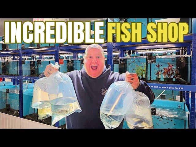 I got INVITED to this INCREDIBLE FISH SHOP to see some BEAUTIFUL FISH | Premier Aquatics