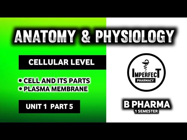 Cell | Parts Of Cell | Human Anatomy And Physiology | HAP | B Pharma First Semester