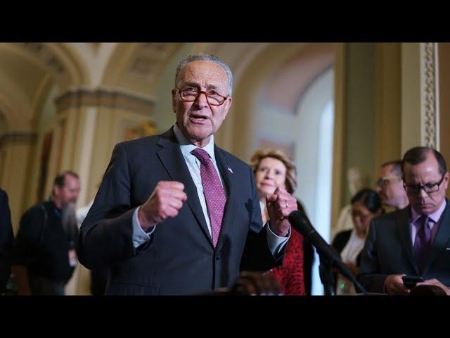 Senate Democrats reelect Chuck Schumer as party leader