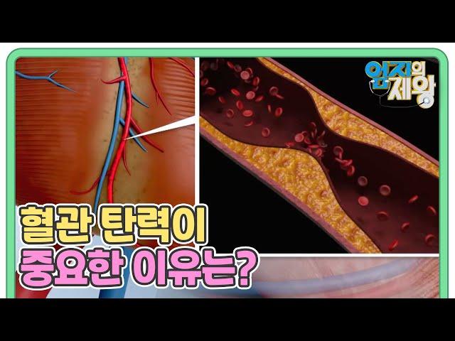 나이에 따라 감소하는 혈관 탄력! 혈관 탄력이 중요한 이유는? MBN 230110 방송