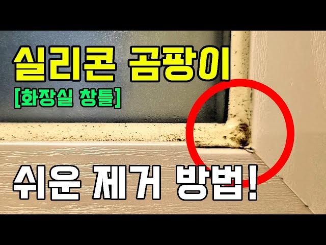 화장실 창틀 실리콘 곰팡이 제거 방법. 욕실 물때 줄눈 청소 [홈스타 곰팡이싹, 착붙는 바르는 곰팡이젤 락스]