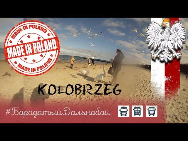 Бородатый Дальнобой - Kołobrzeg PL #7