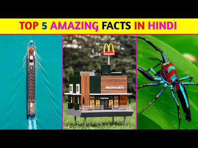 Top 5 Amazing Facts In Hindi | Mind Blowing Facts | Random Facts | Facts In Hindi | #shorts