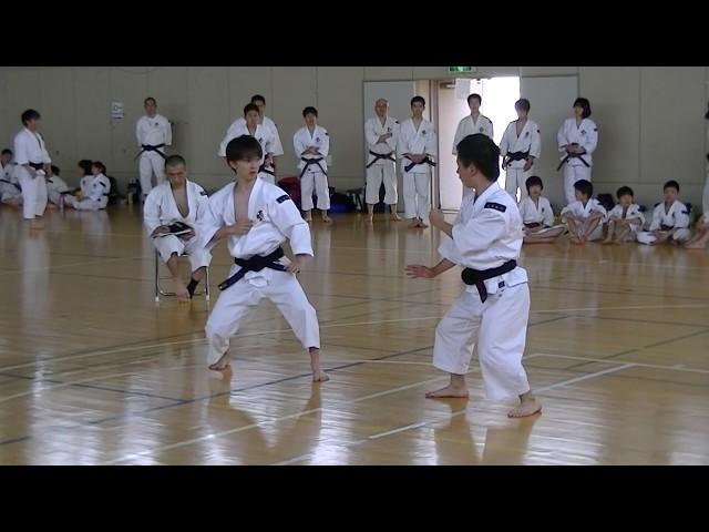 Shorinji Kempo (JAPAN) Cool fighters