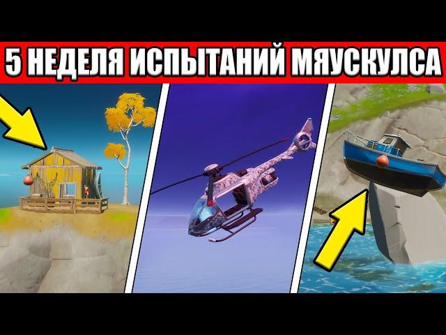 ПРОХОЖДЕНИЕ ИСПЫТАНИЯ МЯУСКУЛСА 1 НЕДЕЛЯ ФОРТНАЙТ КАК ПРОЙТИ 5 НЕДЕЛЮ  В ФОРТНАЙТ ИСПЫТАНИЯ 5 НЕДЕЛЯ