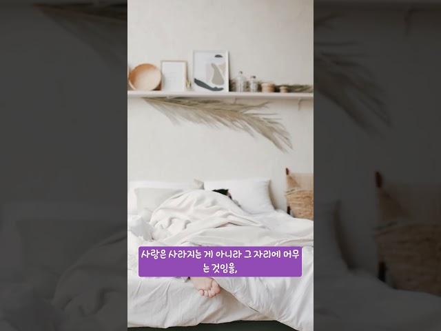 “기억이 사라져도 사랑은 남는다” #슬픔 #감성#  #감성쇼츠 #혼자있을때 #기억