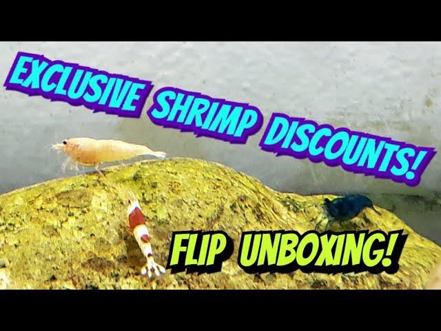 Exclusive Shrimp Discount Code for Flip Aquatics - Unboxing 5  Strains of Crystal & Taiwanese Bee