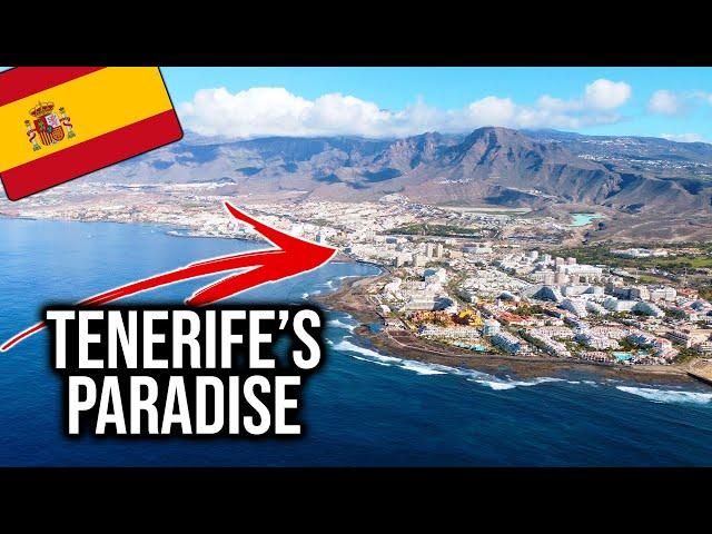 Tererife's Playa de las Américas: 5 REASONS TO VISIT ️