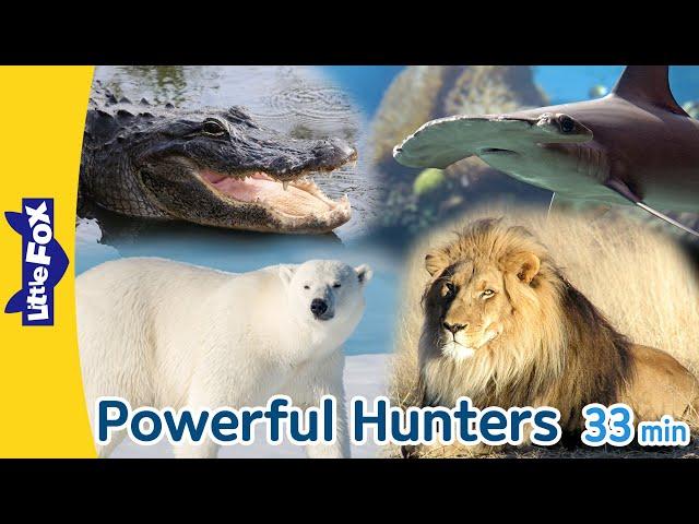 Powerful Hunters in Animal Kingdom | Predators | Shark, Crocodile, Cheetah, Bear, Wolf, Tiger, Lion
