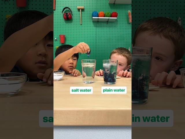 Salt-water trick | chemistry experiment at home with food coloring