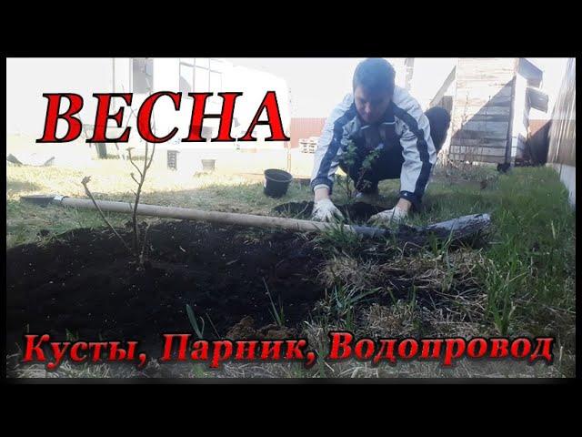 Весна, Мини парник  Куст смородины.  Летний водопровод.