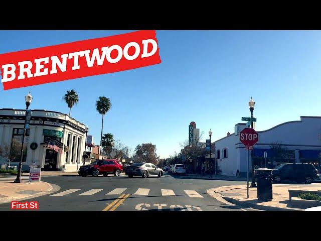 BRENTWOOD CALIFORNIA, ( Driving Downtown ) 4K