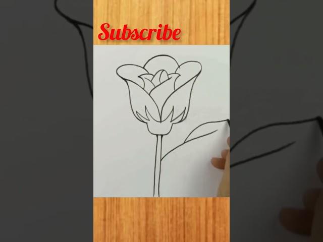 Beautiful Rose drawing | Flower drawing #short  #trending  #youtubeshorts  #shortvideo  #shorts