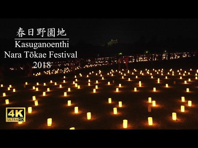 【なら燈花会2018】春日野園地 - Nara Tōkae Festival : Kasugano Park（Part4）