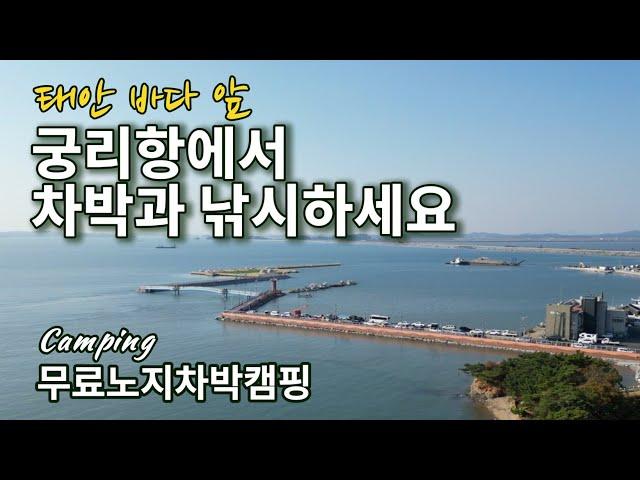 camping in the sea/Couples Camping in Korea/Truckcamping/a camping trip/Puppy/Camping