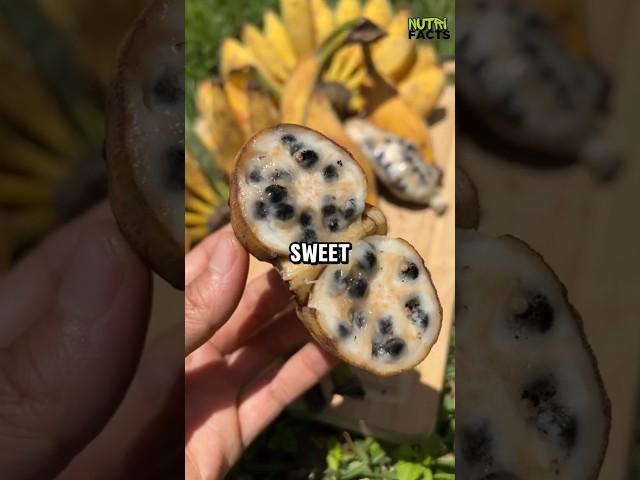 Top 5 Fruits That Were Actually Created by Humans!
