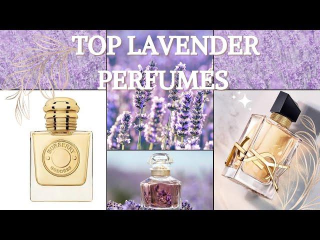 Best Lavender Perfumes🫶| 2024 Edition