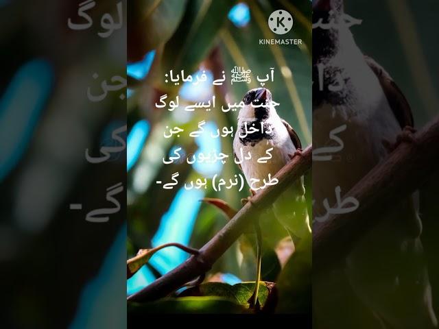 Pyare Nabi ﷺ ki pyari batein||Rasool Allah ﷺ ki batein#hadees #hadith #shortsfeed #shorts #viral