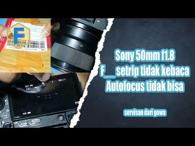 sony 50mm f1 8 f tidak kebaca strip dan tidak bisa auto focus af tidak jalan