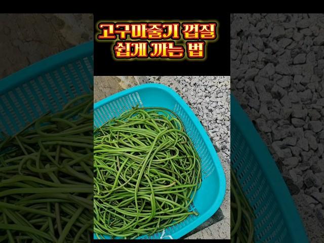 고구마줄기 껍질 쉽게 까는 법/요리와 전과정은 관련동영상을 참고해주세요