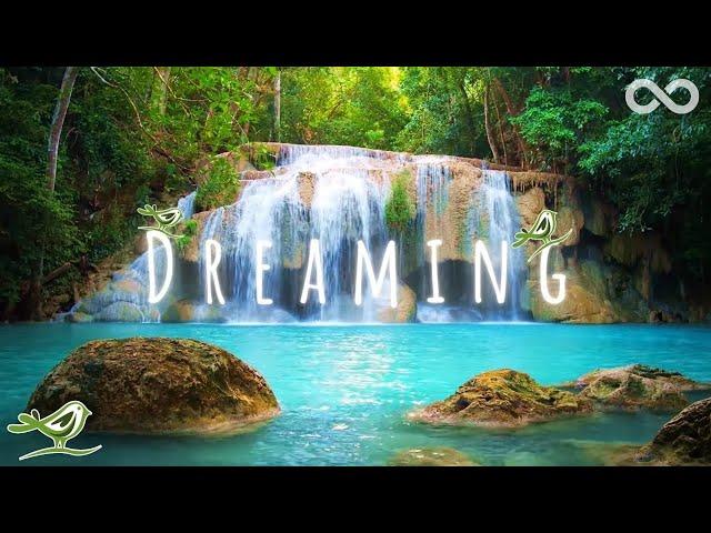 Dreaming • Relaxing Zen Music with Water Sounds for Sleep, Spa & Meditation