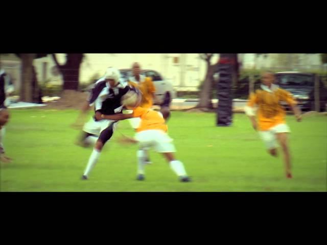 The Springboks Play Every Day Aplon 1/6