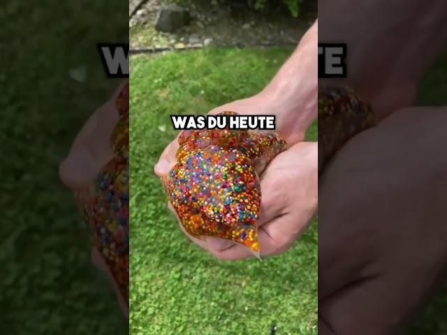 Interessante Fakten die du noch nicht kennst!  #faktencheck #fakten #wissenswert #facts