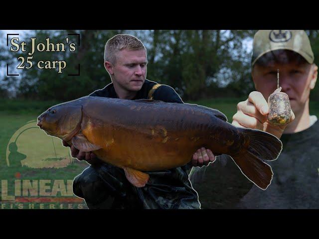 Carp Fishing CARNAGE red letter Session on St John's / NO SPOMBING REQUIRED. 25 Fish 48hrs