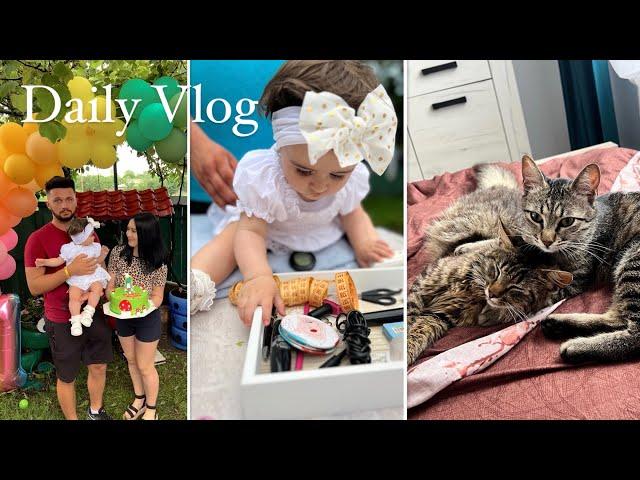 Vlog || Am mai adoptat încă o pisică || Aniversarea de un an a finuței mele | Ce a ales de pe tavă