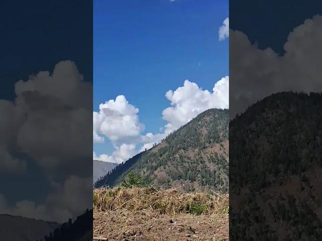 #menu_buhe_bich #Nature #beauti_nature #indian #blog #Village_life_blog