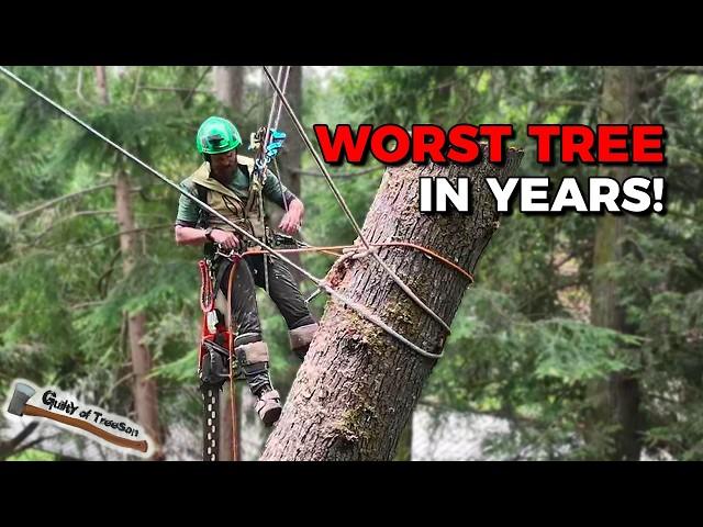 EXTREME HEMLOCK DISASTER!!! This 130’ widow maker had me TERRIFIED!