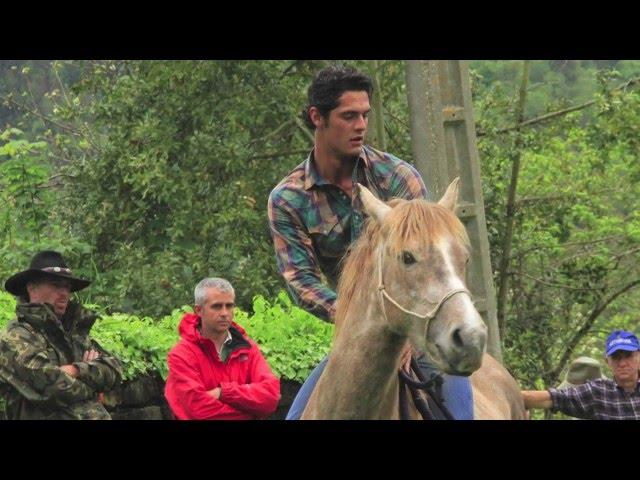 Chico Ramirez Manejo Natural del Caballo CDC 7