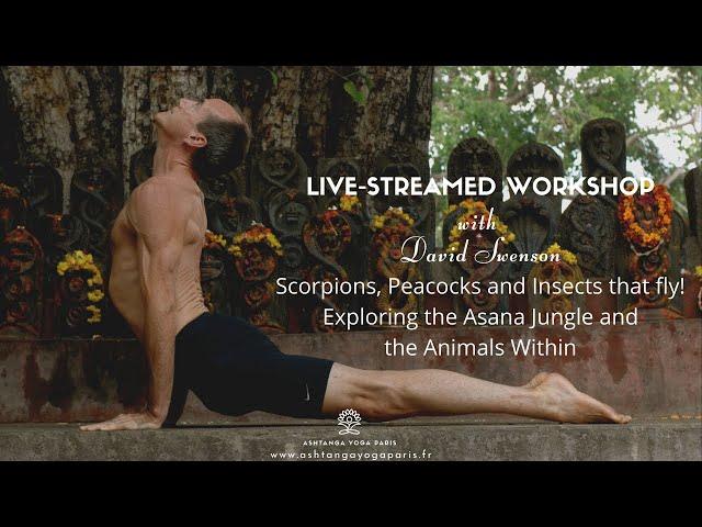 Yoga Workshop with David Swenson