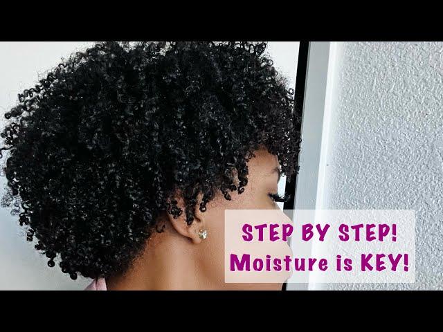 3 easy steps for a moisturizing Wash and go! | DRY natural hair|