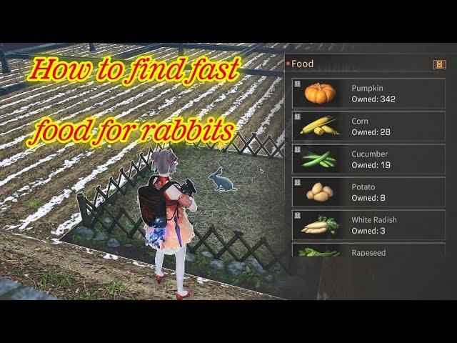 #lifeafter | How to find fast food for rabbits in Lifeafter | Lão Dần