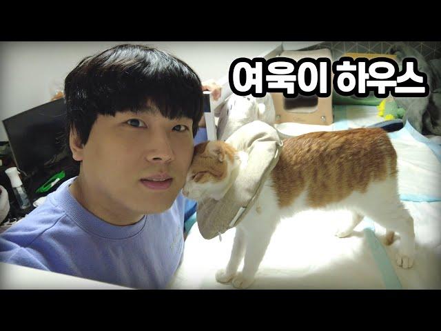 김용녀 집 공개보다 빠른 여욱이 방 대공개!