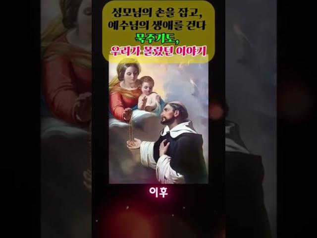 가톨릭 이야기- 묵주기도, 예수님의 생애를 따라 걷는 신앙의 순례.