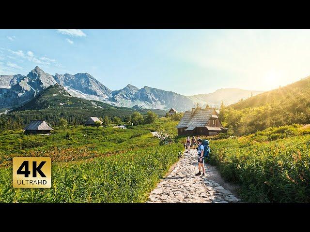 Solo hiking 3 days in Tatra Mountains | RYSY | KOŚCIELEC | KRZYŻNE | TATRY WYSOKIE | 4K |